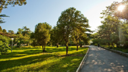     VARNA PANORAMA 100     17