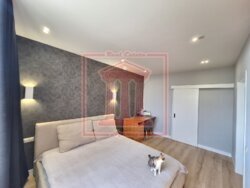 ��������� �������� �������, �������������, ��������, ������������, 2�/4 ���� 5