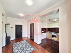 ��������� �������� �������, �������������, ��������, ���������, 1 ���� 8