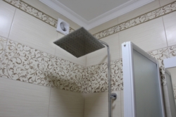 : 4-  2-  , . , 101 ..,   14