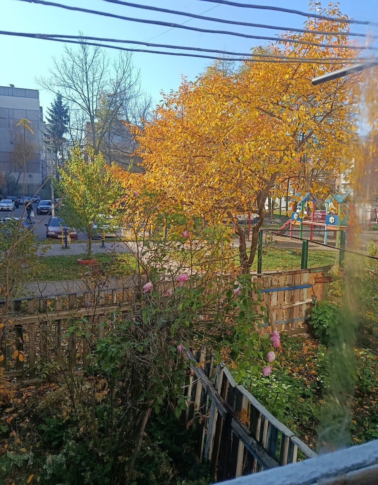 ������ 2� �������� ���� 1