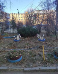 ³�����, ������ �������, ���. �������� ������, , �������� � ���� ����������� �� �������� ��� ���������� ������ ������ (������) / �������. ���� 24