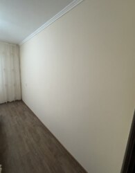 ������ 3� �������� ���� 31