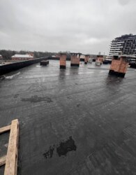 ������ 1� �������� ���� 4