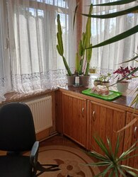 ������ 4� �������� ���� 8