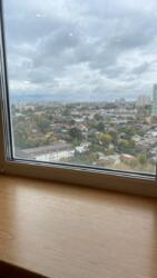 1 ��� �������� ����� ���������� ���. (��������), 4 ���� 8