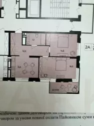2 -    Central-park  1