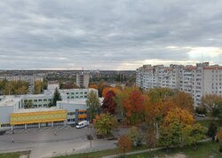 ��������� �������� ��������, ³�����, ³�������, ����������, �������� ���� 17