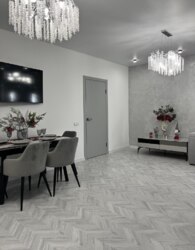 ������ 3� �������� ���� 22