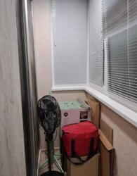 ������ 1� �������� ���� 20