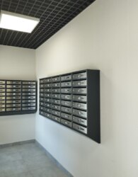 ������ 1� �������� ���� 25