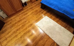 1 ���. �������� ���. �����������, 6/1 ���� 2