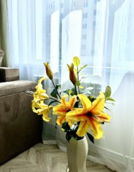 ������ 2� �������� ���� 11