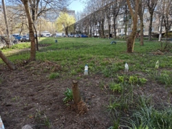 ��������� �������� ���. ���������, ³�����, ³�������, �������������, ������ ������� ���� 5