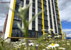 ������ ����������� �������� �� ��������� ���� ���� 5