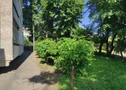 Продається покращена 2-кімнатна квартира в центрі міста. фото 18 Продається покращена 2-кімнатна квартира в центрі міста. фото 18