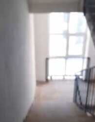 ������ 1� �������� ���� 5