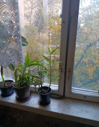 ������ 2� �������� ���� 3