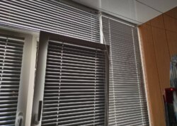 ³�����, ������ �������, ���. �������� ������, , �������� � ���� ����������� �� �������� ��� ���������� ������ ������ (������) / �������. ���� 31