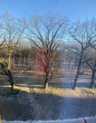 ������ 1� �������� ���� 16