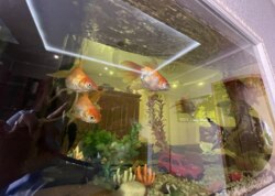 ������ 1� �������� ���� 9