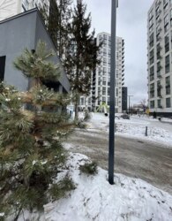 ������ �������� 1-������� �������� ���� 19