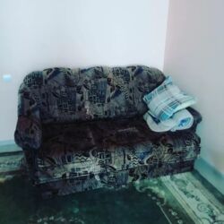 ������������� ��������, ����� ����������� 31� ���� 6