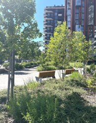 1-кімнатна квартира з дизайнерським ремонтом в ЖК «Central Park Vinnytsia ». фото 22 1-кімнатна квартира з дизайнерським ремонтом в ЖК «Central Park Vinnytsia ». фото 22