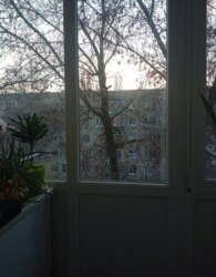 ������ 2� �������� ���� 2