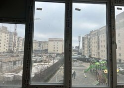 ������ 3� �������� ���� 6