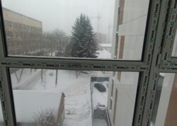 ������ 1-������� �������� � ��������� �� Fest Home ���� 2