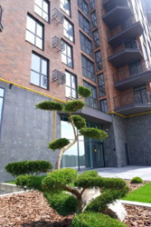 ������ �������� � �� Dream Lake ���� 5