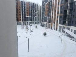 ��������� �������� ³��������, ³������� ���� 10