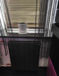 ³�����, ������ �������, ���. �������� ������, , �������� � ���� ����������� �� �������� ��� ���������� ������ ������ (������) / �������. ���� 13