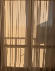 ������ 2� �������� ���� 7