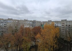 ��������� �������� ��������, ³�����, ³�������, ����������, �������� ���� 14