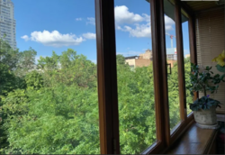 ������������� �������� ���������� ���� 17 ���� 15