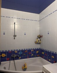 ������ 3� �������� ���� 8