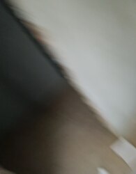 ������, ����'����, ���. ������ ���������, 35, ���� 5