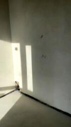 1  .  1  6
