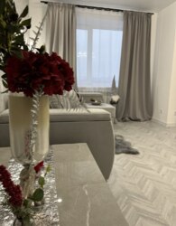 ������ 3� �������� ���� 18