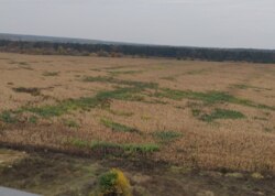 ������ 1� �������� ���� 41