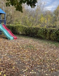 ������ 1� �������� ���� 14