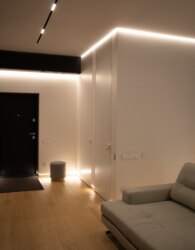  2-   PREMIER TOWER  50
