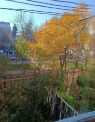 ������ 2� �������� ���� 1