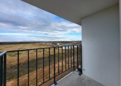 ������ 1� �������� ���� 33