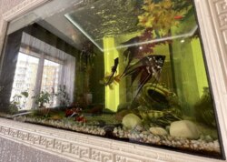 ������ 1� �������� ���� 8