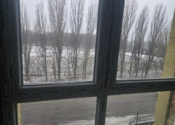 ������ 1� �������� ���� 5