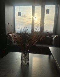 ������ 1� �������� ���� 6