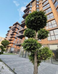 Продаж 1к квартири фото 3 Продаж 1к квартири фото 3